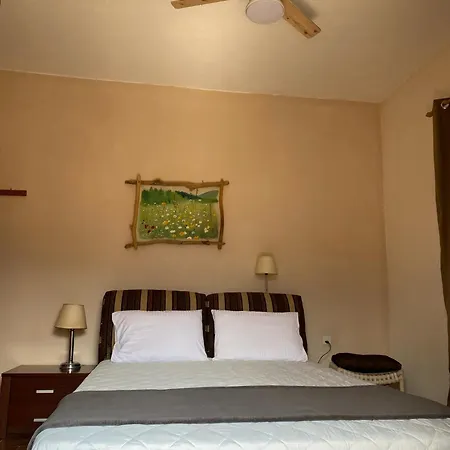The Koutsoupia Holiday home *