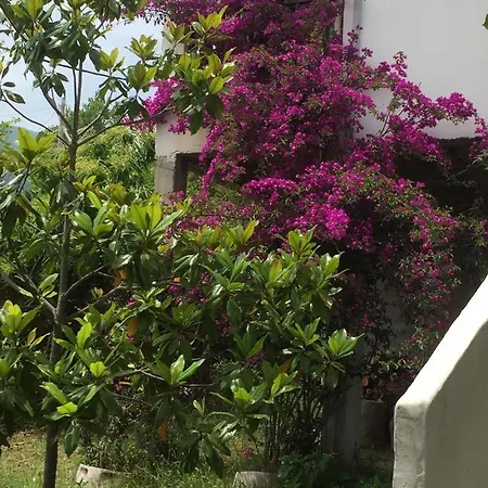 The Koutsoupia * Kókkinon Nerón